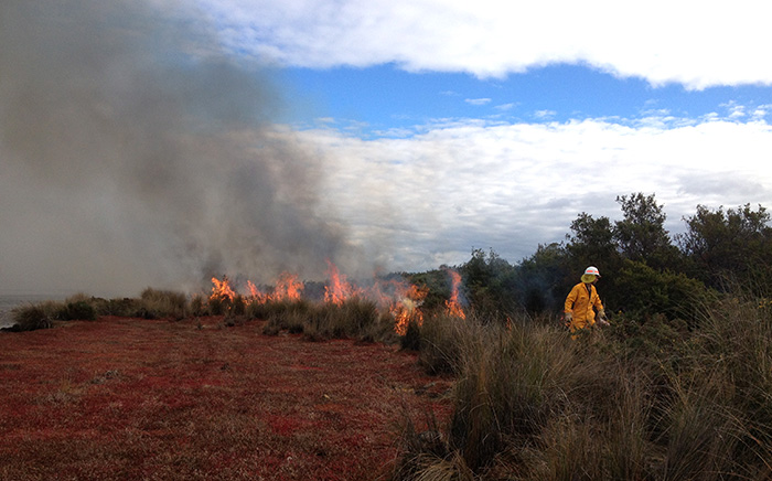 Planned burning at Long Point Reserve