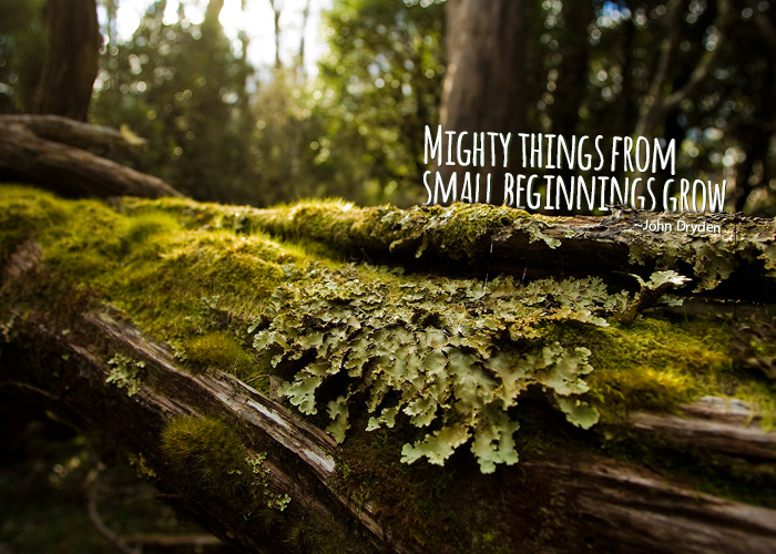 Mighty things from small beginnings grow - John Dryden quote