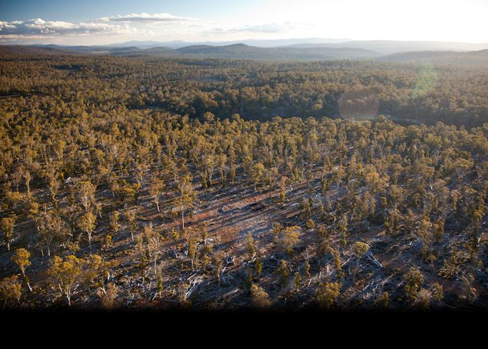 Aerial view of the TLC's Serpentine property